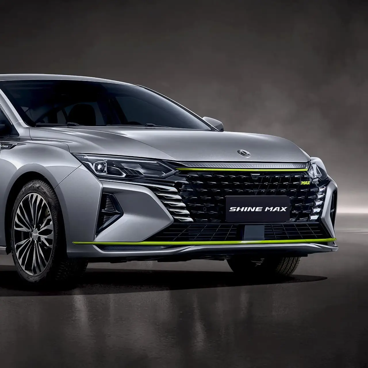 shine-max-ext-2-estetica